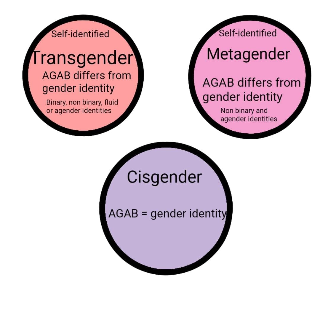 Visual Guide to Metagender